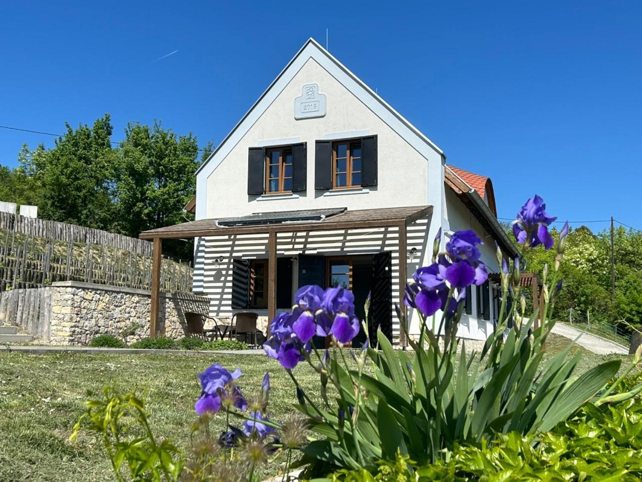 Borbora Borhaz Villa Vászoly Buitenkant foto